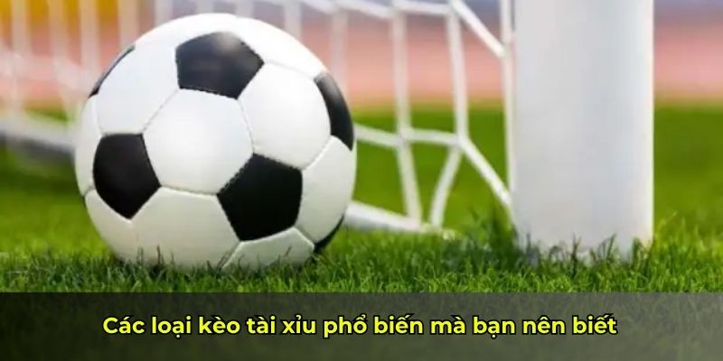 Các loại kèo tài xỉu phổ biến mà bạn nên biết