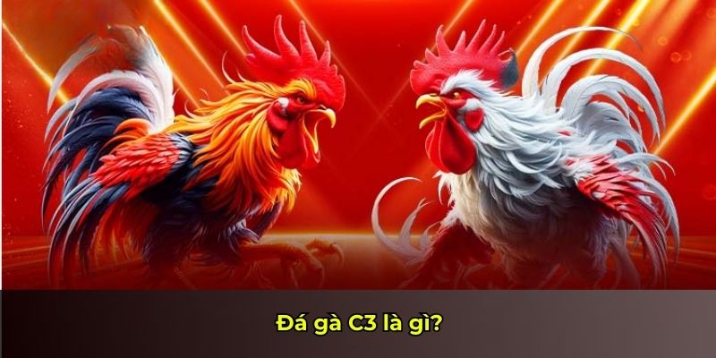 Đá gà C3 là gì?