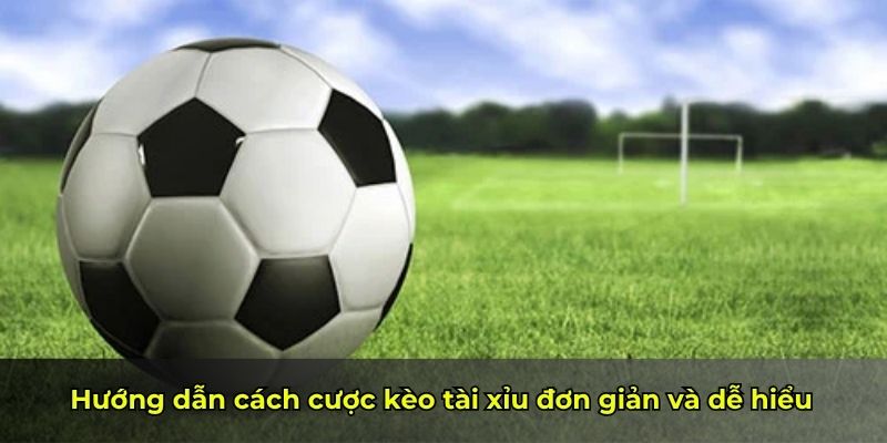Hướng dẫn cách cược kèo tài xỉu đơn giản và dễ hiểu