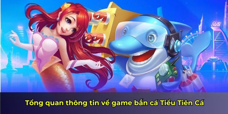 Tổng quan thông tin về game bắn cá Tiểu Tiên Cá